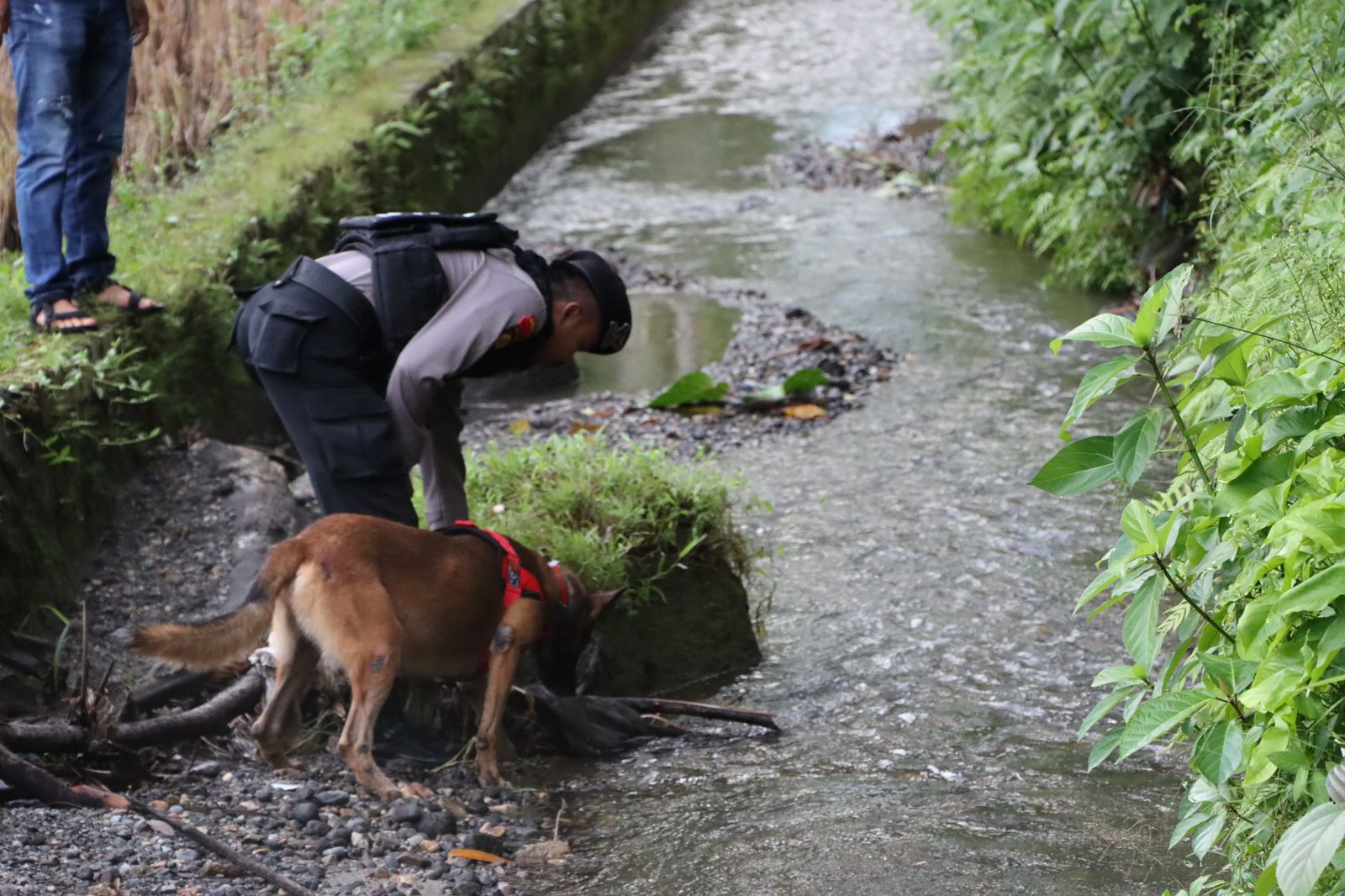 K-9 Polda Sumbar Temukan Baju Gadis Penjual Gorengan di Padang Pariaman 