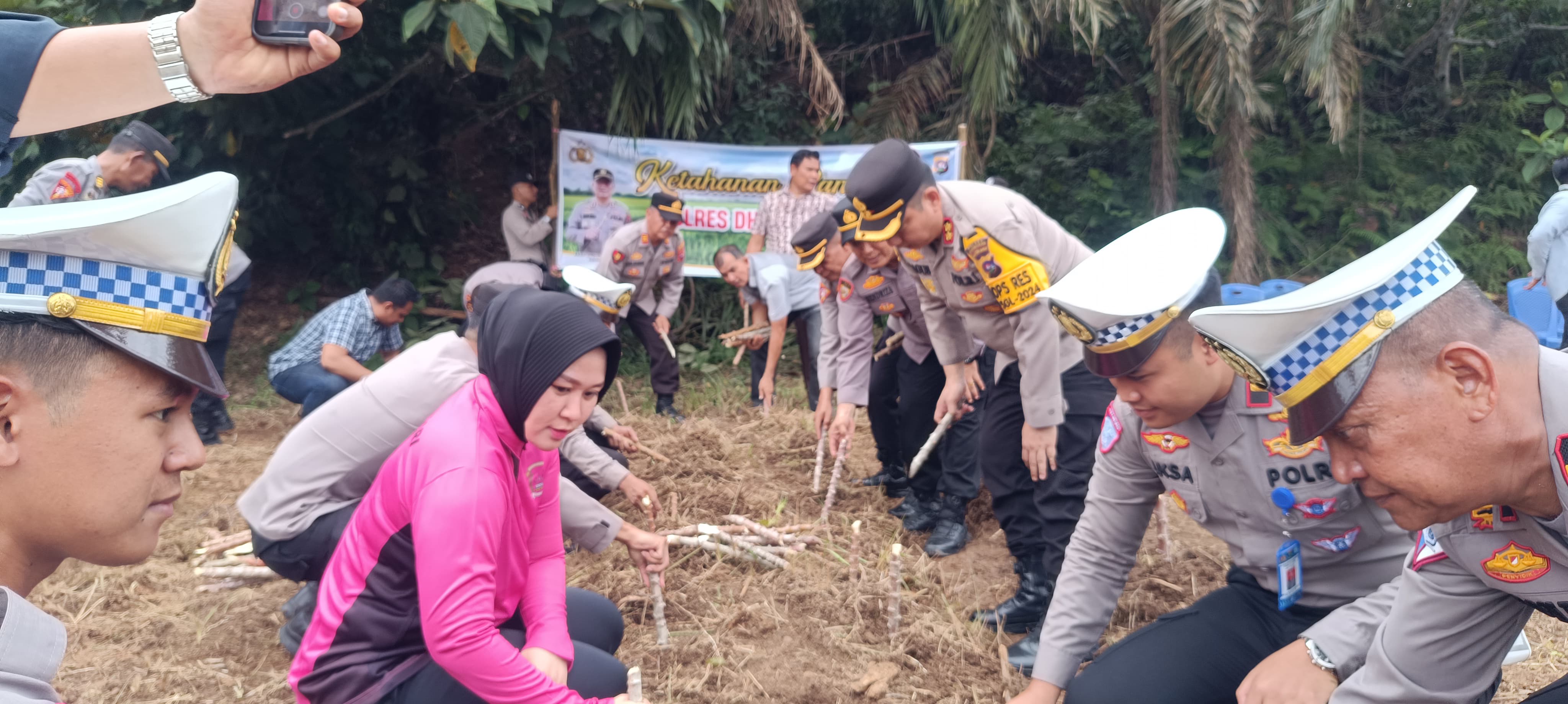 Polres Dharmasraya Dukung Program Ketahanan Pangan dengan Lepas Bibit Ikan dan Tanam Singkong