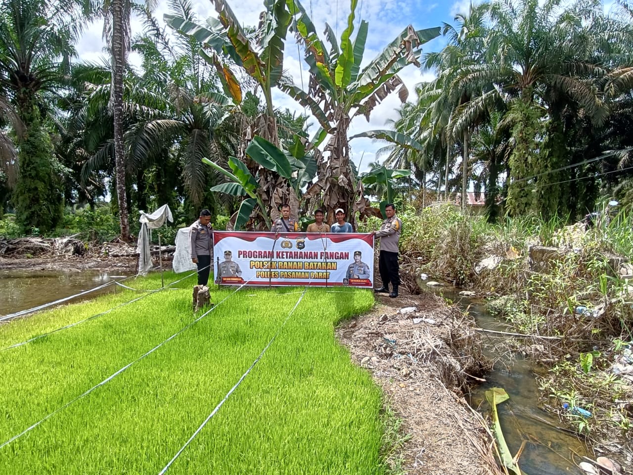 Wujudkan Swasembada Pangan, Personel Polsek Ranah Batahan Jalin Komunikasi Dengan Sejumlah Petani