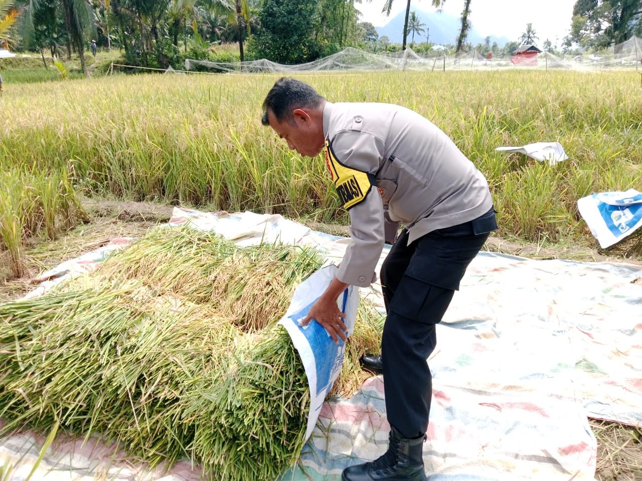 Bhabinkamtibmas Polres Pasaman Barat Memberikan Motivasi Kepada Warga Dalam Mewujudkan Ketahanan Pangan